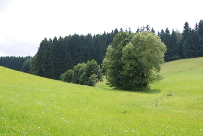 Petersbergrunde