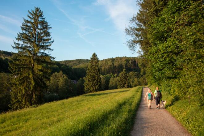 Weg zum Wasserschloss Mespelbrunn