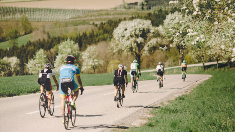 Gruppe-Rennradfahrer-von-hinten_Ober%c3%b6sterreichTourismus-GmbH_Stefan-Mayerhofer_NEU
