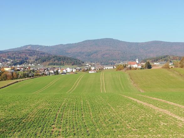 Blick auf den Böhmerwald
