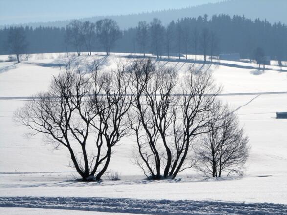 Winterwanderweg in Klaffer am Hochficht