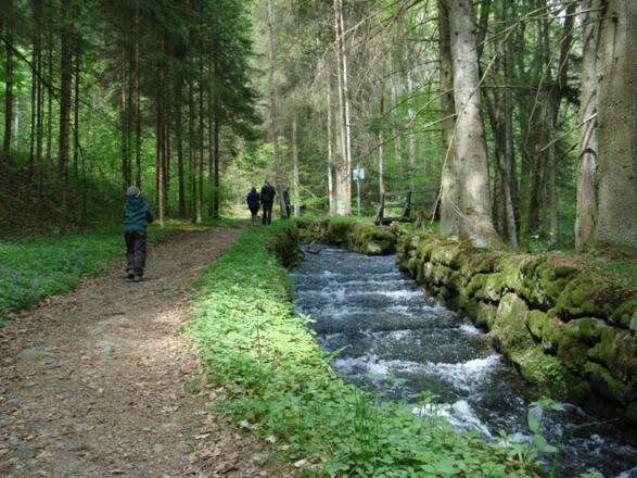Steilstufe am Schwarzenbergischen Schwemmkanal