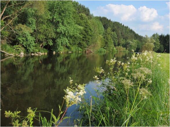 Wanderweg Große Mühl