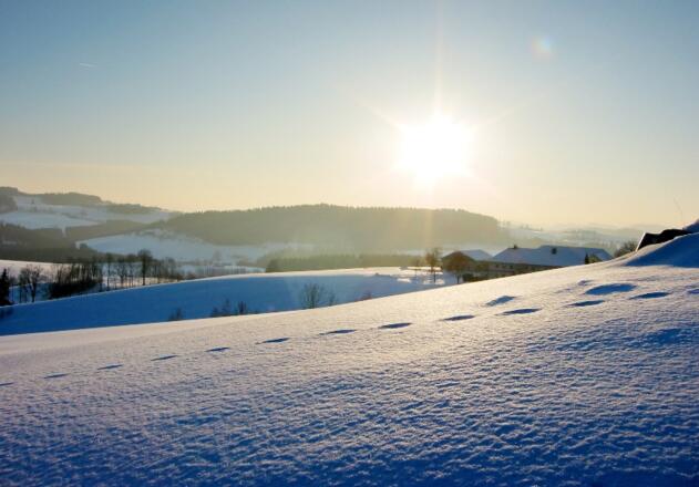 Winterwandern im Böhmerwald