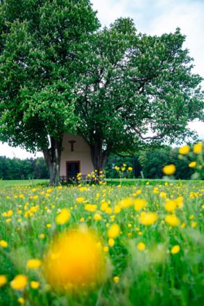 Kapelle "Herrnbild"