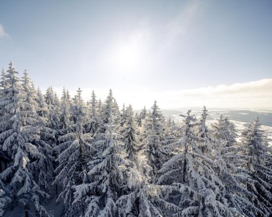 Winterlandschaft in der Ferienregion Böhmerwald.