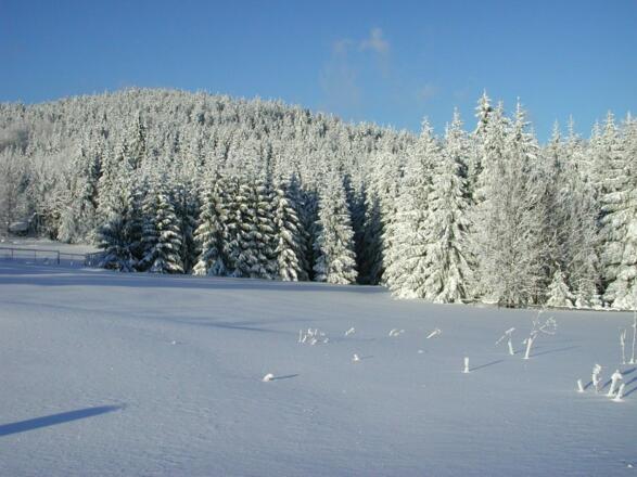 Winterwandern ab Schöneben