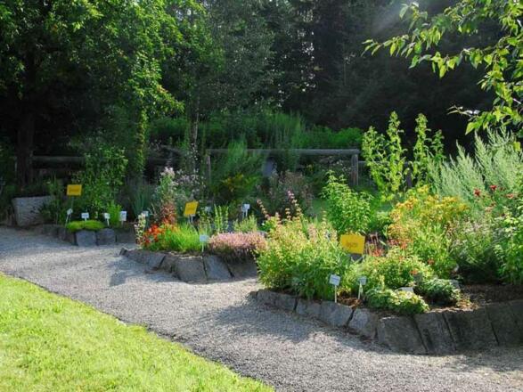 Heilkräutergarten in Klaffer