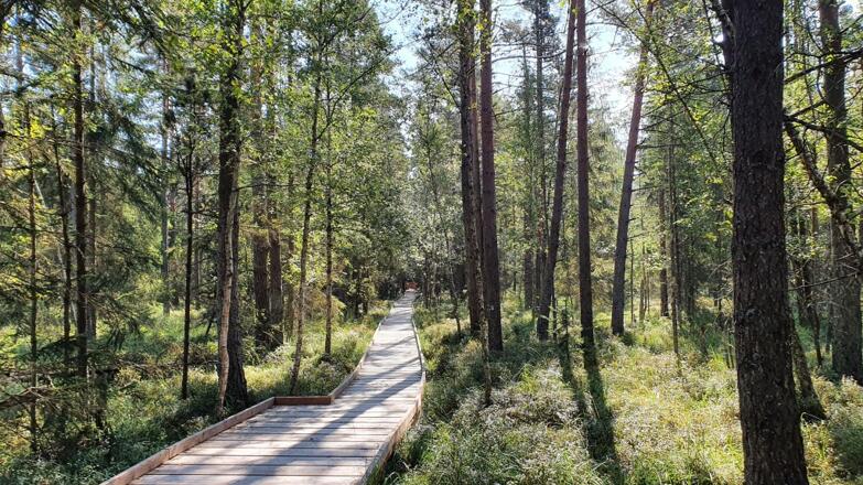 Pruegelweg in die Bayrische Au
