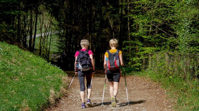 Nordic Walking - pixabay - 5598375