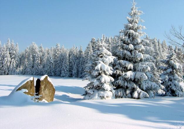 Winterlandschaft im Böhmerwald