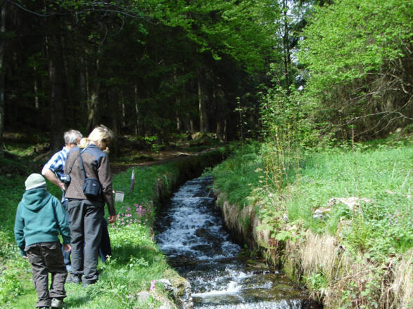 Kleine Runde am Schwarzenbergischen Schwemmkanal
