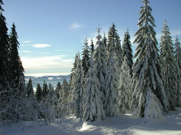 Winterwandern ab Skiarena Hochficht