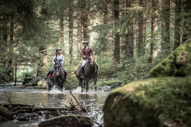 WanderreitenamMuehlviertlerReitwegenetzWaldFluss07_PferdereichMuehlviertlerAlmErber.jpg
