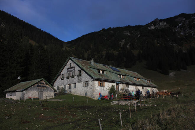 Willersalpe