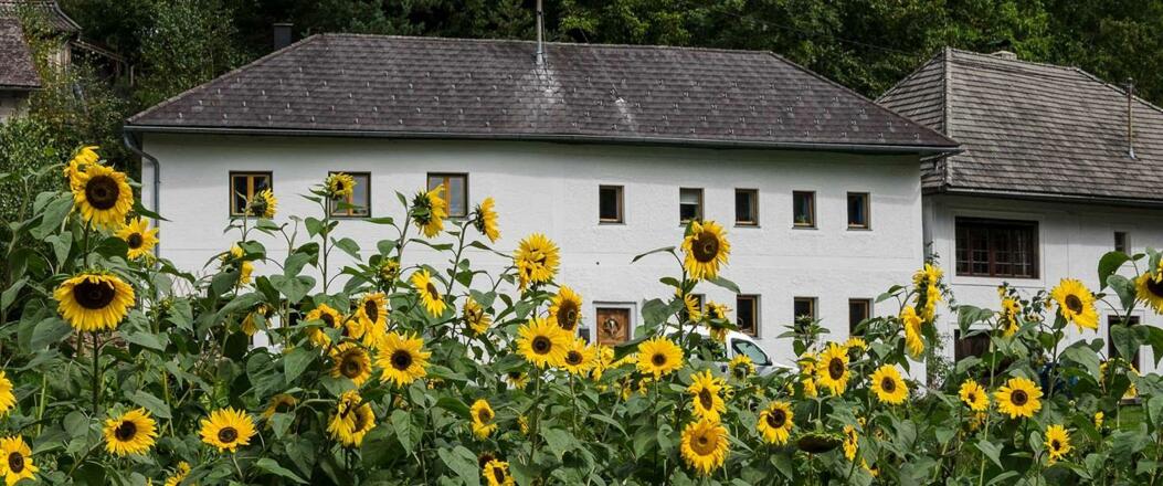 Ausbildungszentrum Wilde Rose
