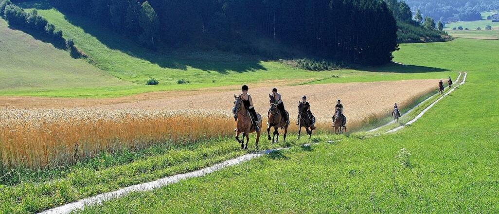 Reiten am Ramlhof