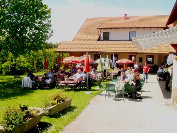 Wirt zHareth134
