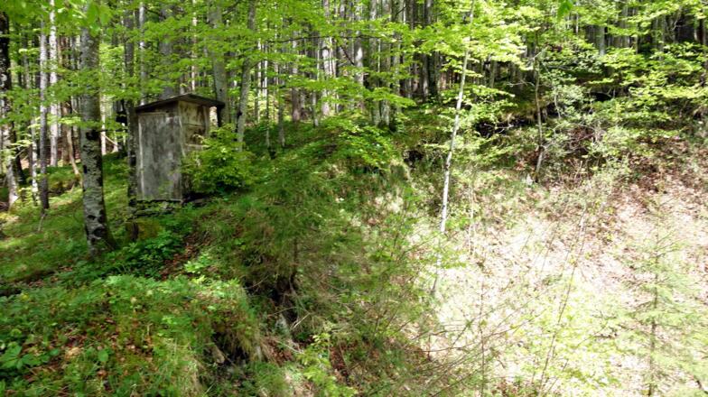 Einstieg unterer Jagdsteig ca.745m