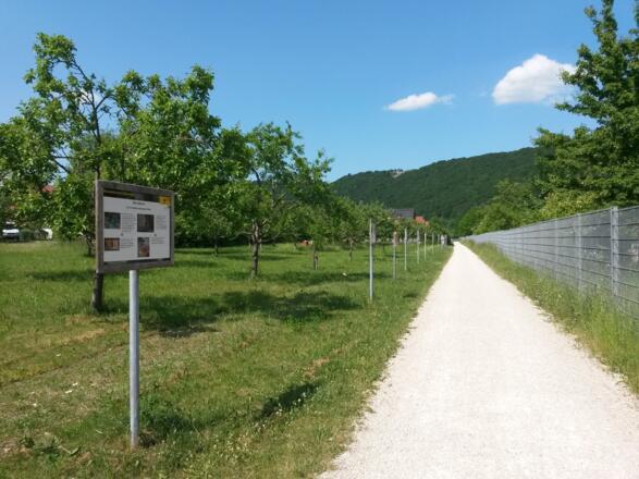 Am Bienenlehrpfad