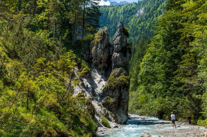Der Wimbach