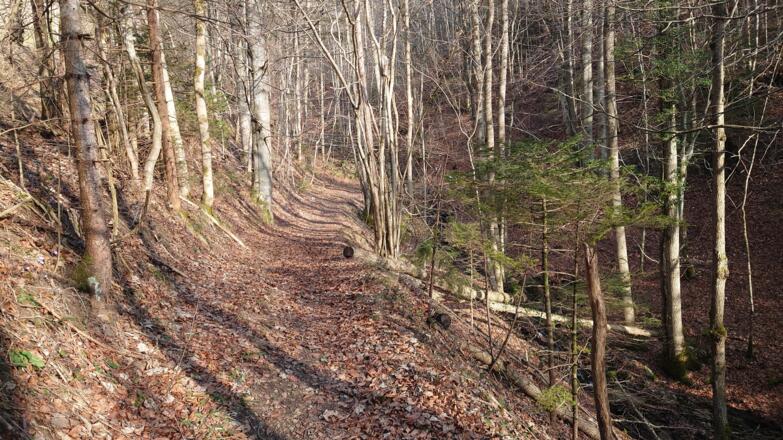 Pröller-Trail Micheldorf