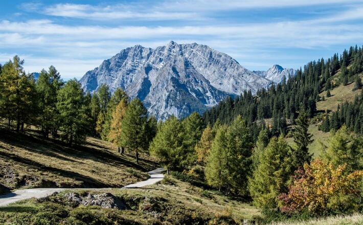 Herbst auf der Königsbergalm