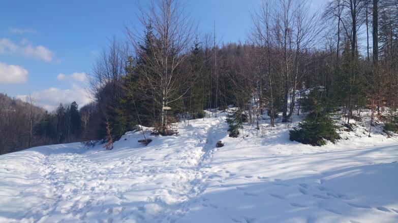 Ochsenkogel Trail - Micheldorf