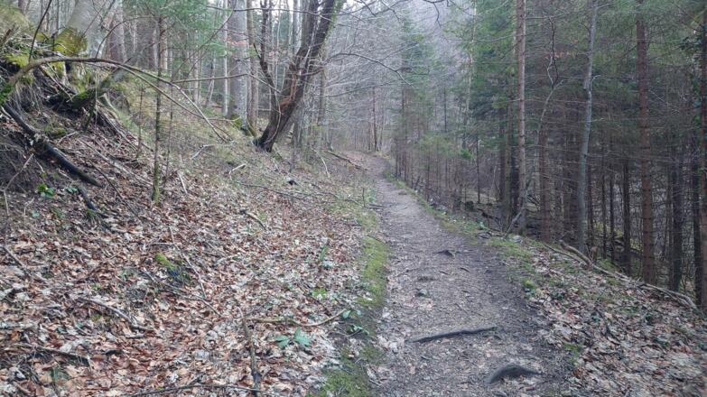 Pröller-Trail Micheldorf