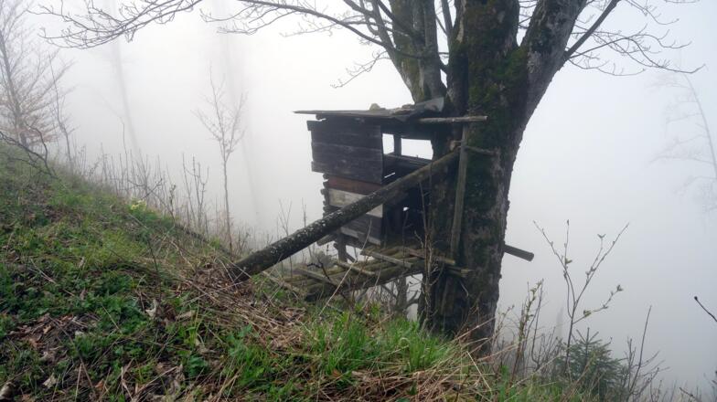 Ausstieg zum Ziehwegende um 1145m
