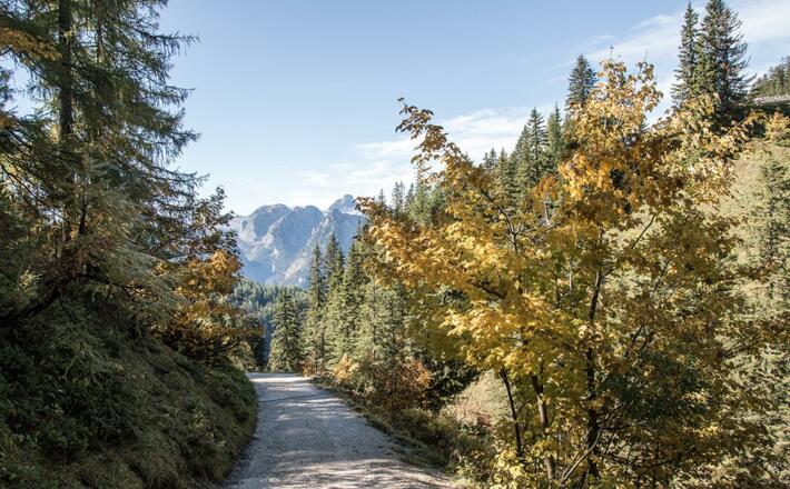 Zufahrt und Wanderweg zur Königsbergalm