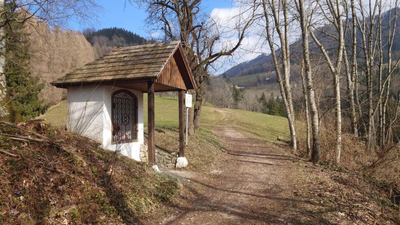 Ochsenkogel Trail - Micheldorf