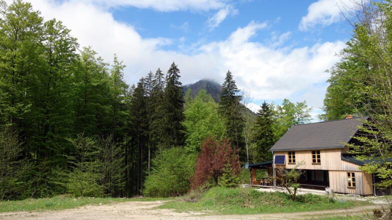 Haus beim Abstieg rechts der Forststraße ~725 m