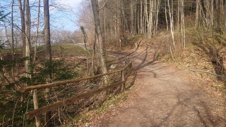 Ochsenkogel Trail - Micheldorf