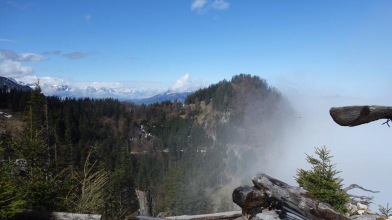Gr. Spitzberg vom Rastplatz ~1355m