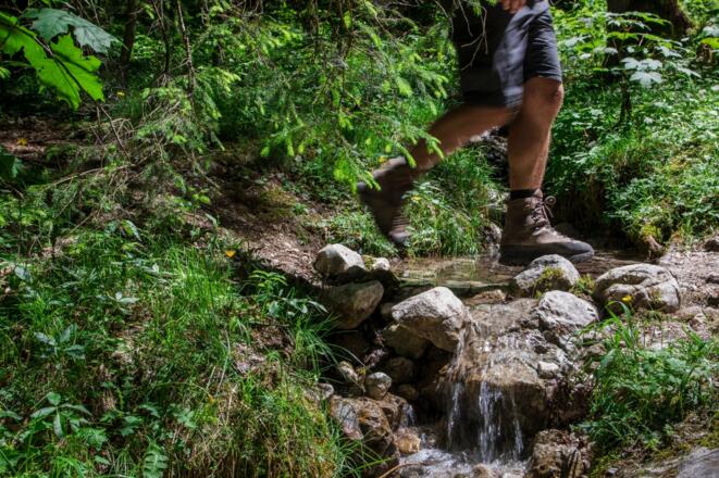 der schmale Steig durch den Wald