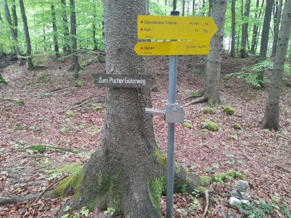 Almerberg Wegweisen