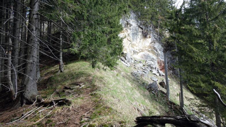 Gratanstieg ~1320m zum Gr.Spitzberg 1396m