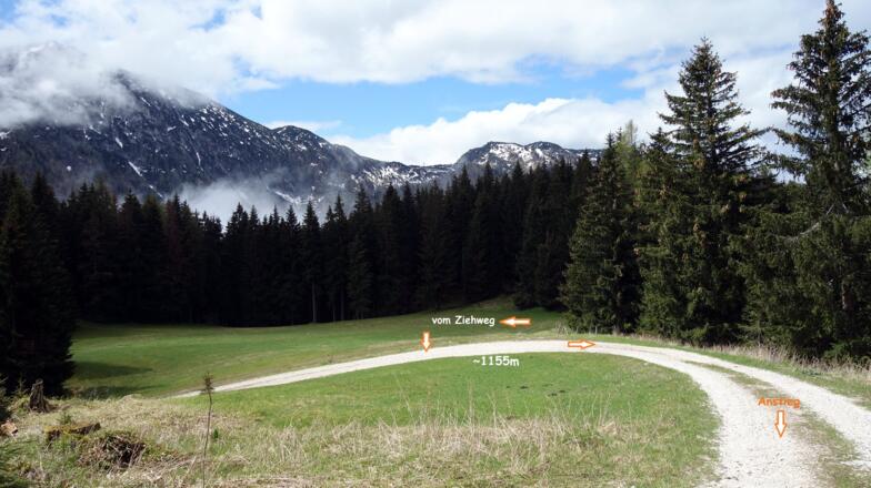 weiterer Anstieg vom oberen Jagdsteig auf der Forststraße