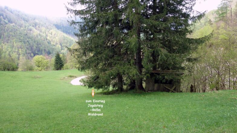 nach der Gabelung ~850m links, dann rechts zum oberen Jagdsteig