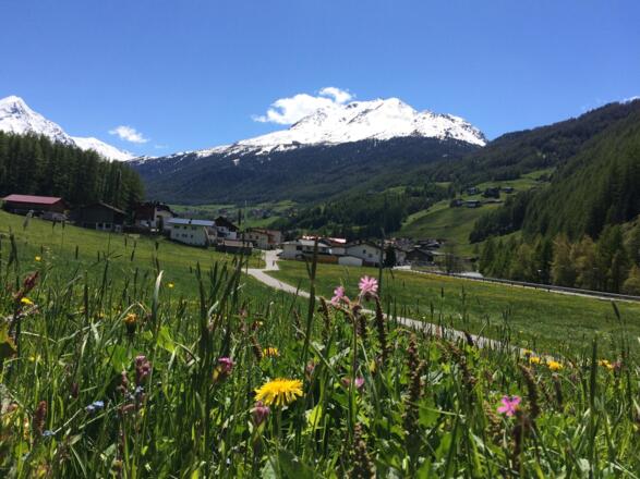 Frühling  - mit Gaislachkogel