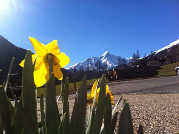 Aussicht vom Haus Nederkogel