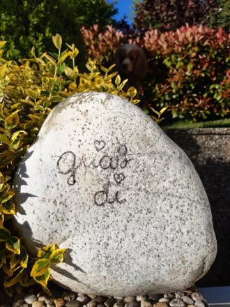 Grüß Gott auf Tirolerisch Juni21 025