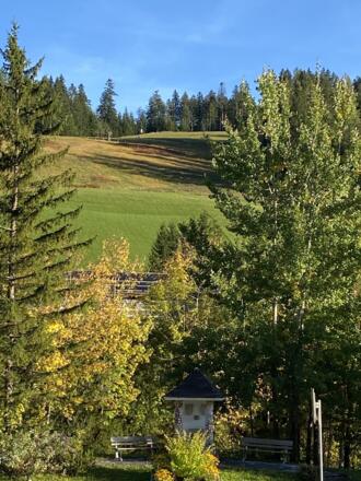 Apartment Bergfeeling Dachstein-West Russbach (2)