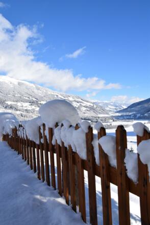 Blick hintern Zaun
