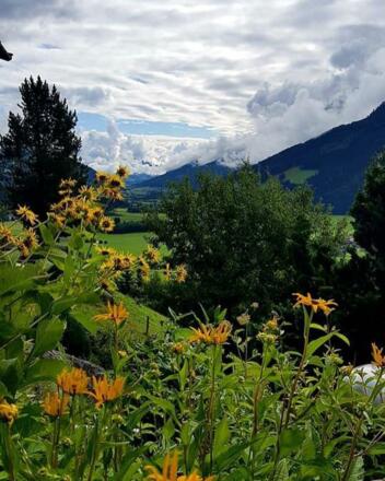 Gartenausblick