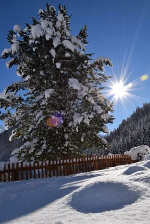 Der Sonne entgegen