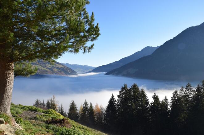 Morgennebel im Tal