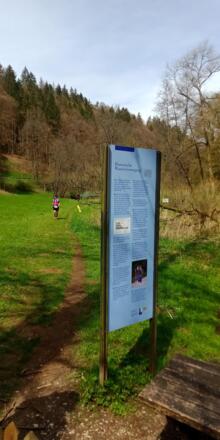 Quelle am Brunnweg Engelhardsberg