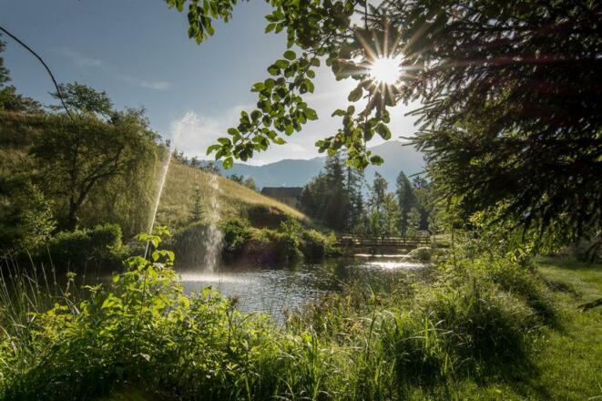 schwimmteich5